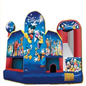 Disney Play House