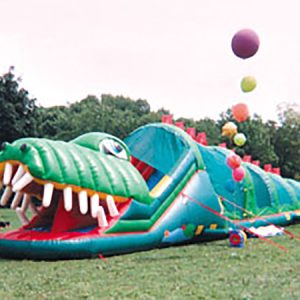 Goofy Gator Obstacle Course
